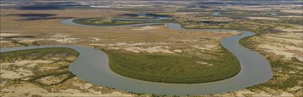 Mangroves - Cape York - QLD (PBH4 00 14535)